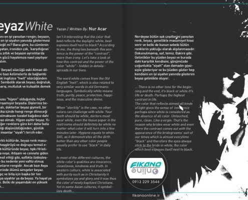 ایده های صفحه آرایی در سایت فیکانو آنلاین