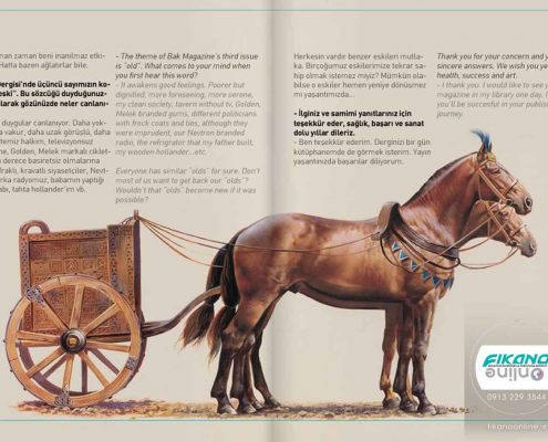 ایده های تصویرسازی حیوانات - وب سایت فیکانو آنلاین www.fikanoonline.ir