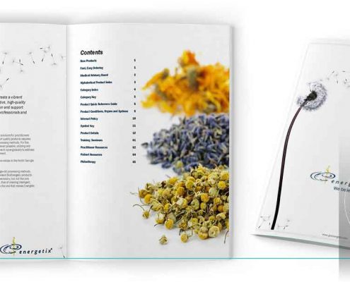 ایده های طراحی کاتالوگ - وب سایت فیکانو آنلاین www.fikanoonline.ir